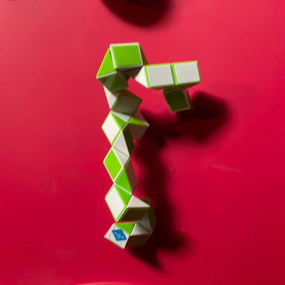Snake fidget toy